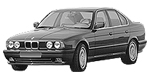 BMW E34 P2160 Fault Code
